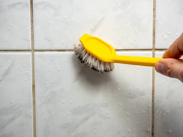 Best Mold Testing  in Rancho Santa Margarita, CA