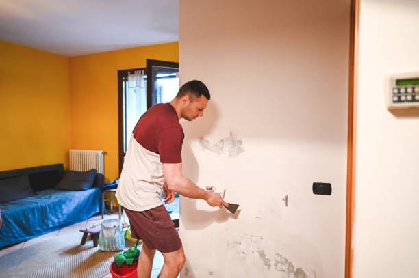 Best Home Mold Removal  in Rancho Santa Margarita, CA