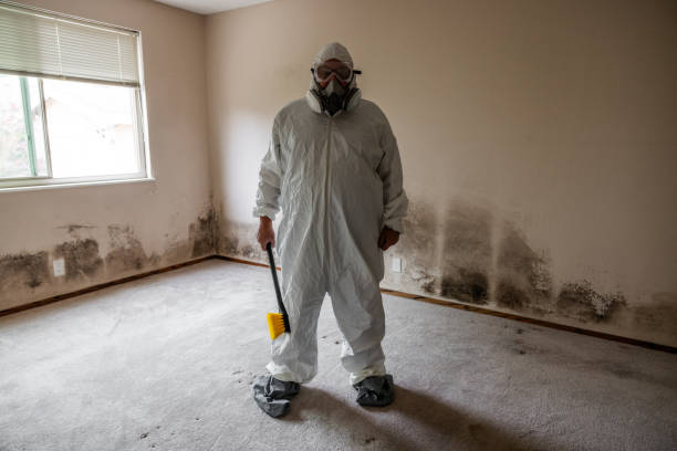 Best Black Mold Removal  in Rancho Santa Margarita, CA